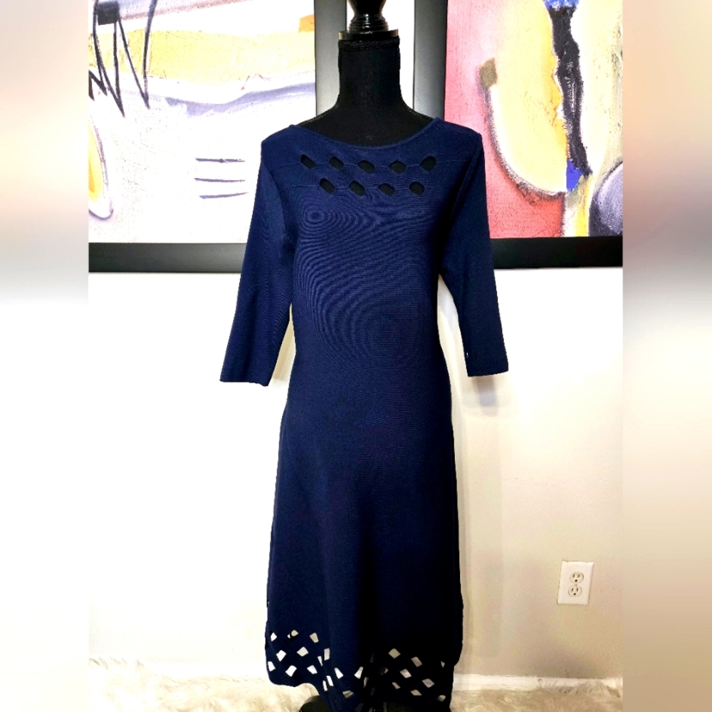Beautiful Nic+ Zoe dress NWT